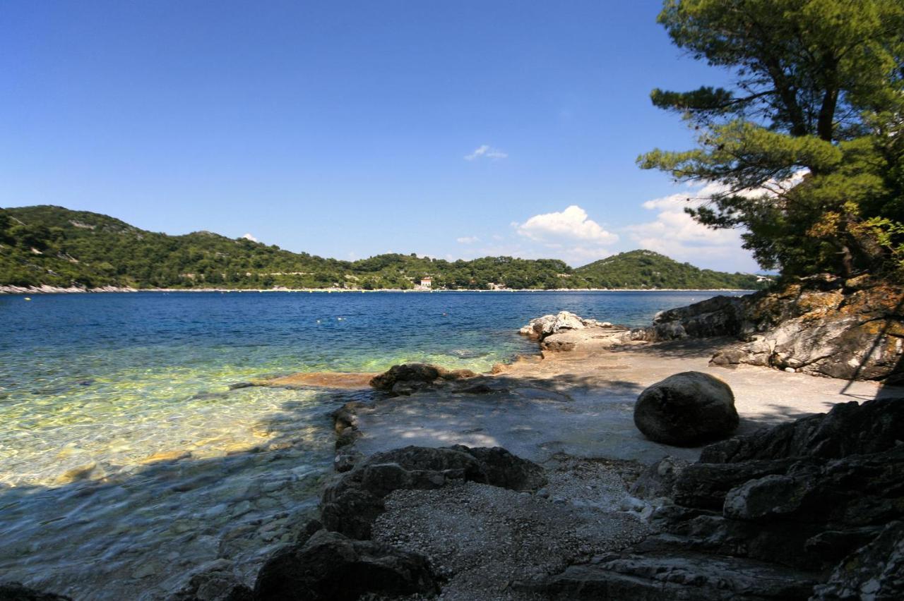 Apartments By The Sea Sobra, Mljet - 4908 Babino Polje Luaran gambar