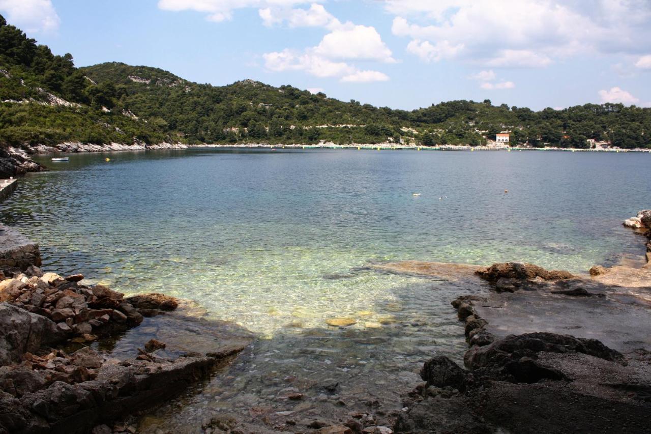 Apartments By The Sea Sobra, Mljet - 4908 Babino Polje Luaran gambar